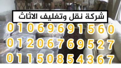 صورة ونش رفع الاثاث فى حدائق الاهرام|01069691560