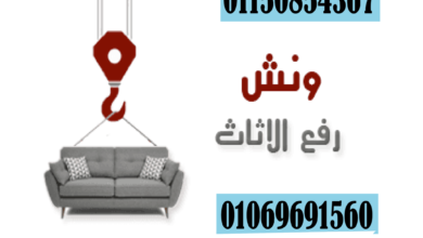 صورة ونش رفع الاثاث بالجيزة